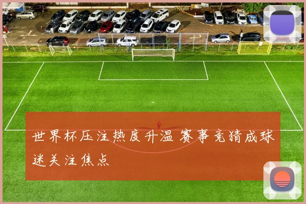 世界杯压注热度升温 赛事竞猜成球迷关注焦点