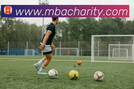 半岛入口发展历程